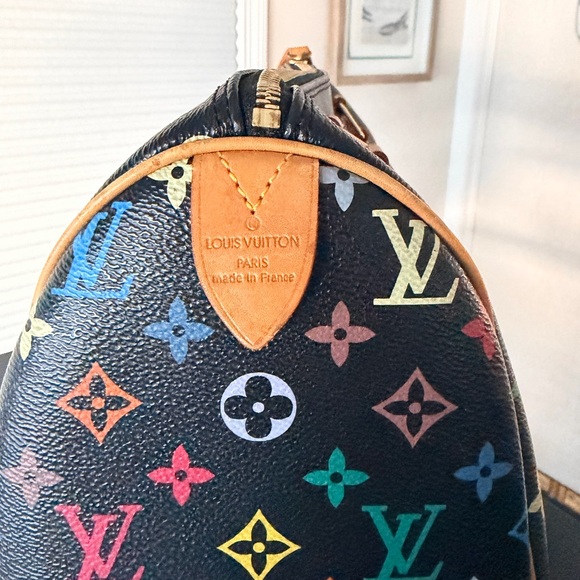 LV Multicolor Monogram Handbag speedy gold - Picture 2 of 12